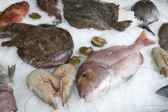 얼렸다 녹여도 맛있는 식재료 해동 꿀팁 고유의 맛을 즐겨보세요