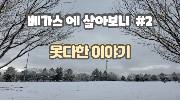 베가스에 이사와서 살아보니..