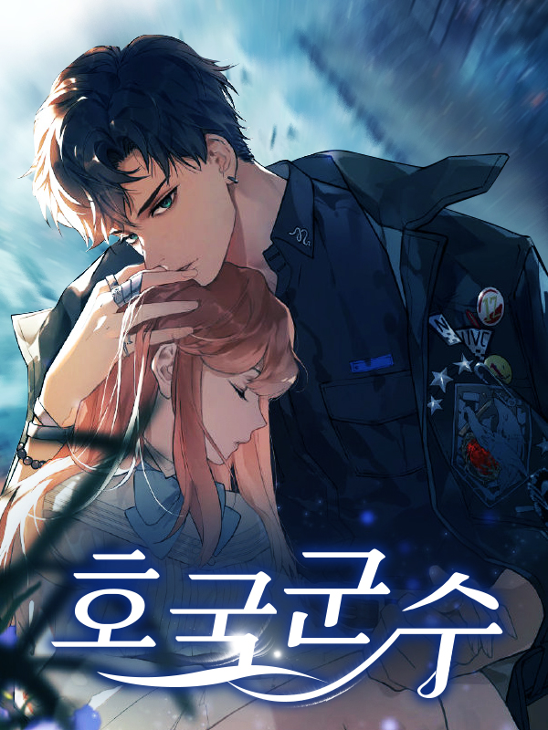 호국군수