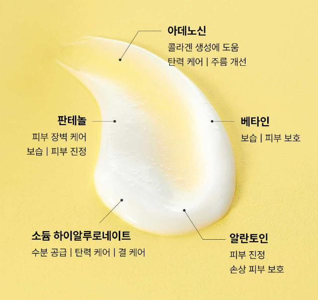 텍스트이(가) 표시된 사진

자동 생성된 설명