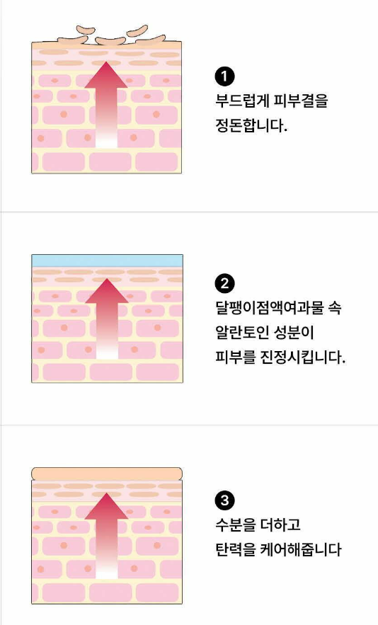 텍스트, 스크린샷, 직사각형, 디자인이(가) 표시된 사진

자동 생성된 설명