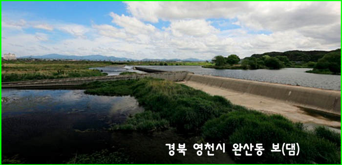 김반장의 뉴욕지역활동내역
