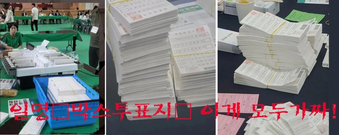 6.3선거 원천무효! 6.3선거 원천무효!