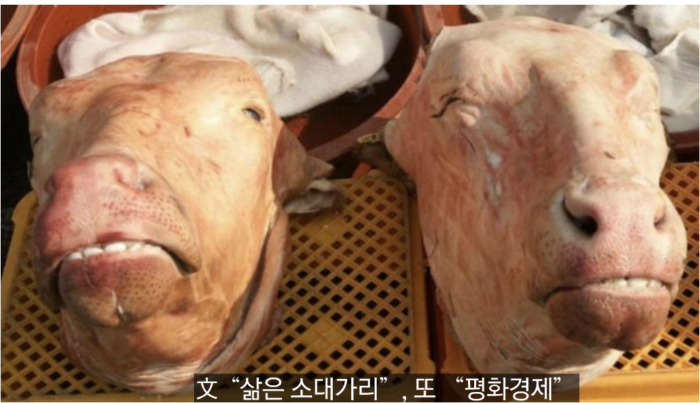 겁먹은 개!