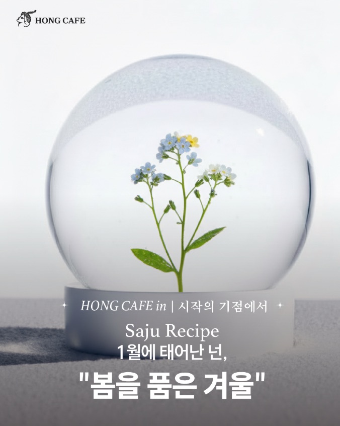 월간 행운 웹진【HONG CAFE in】창간호 2026년 1월 이야기│시작의 기점에서 두번째 이야기