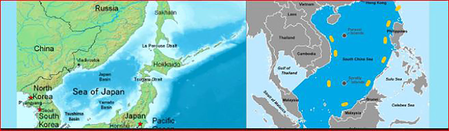의식불명운동 '일본해/동해' 