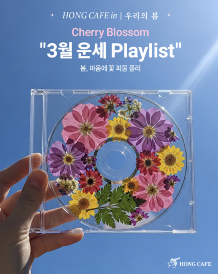 Cherry Blossom_3월 운세 Playlist