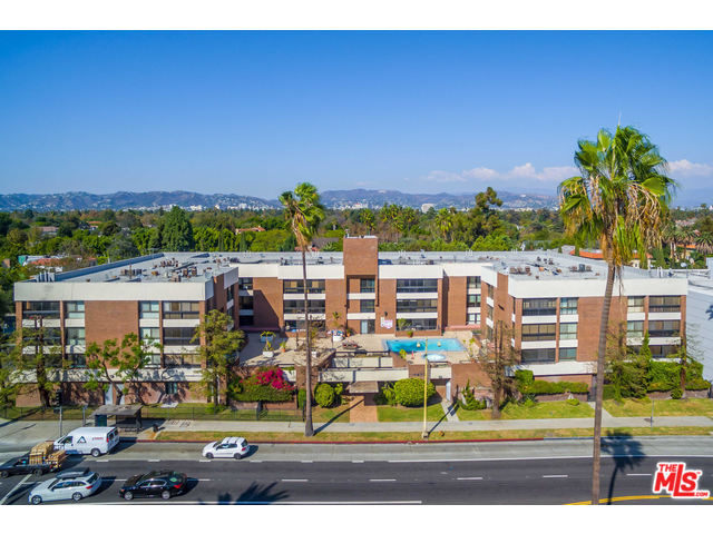 켈리정의 켈리정의