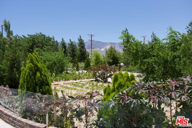 루센밸리 대추나무가 있는 농장 루센밸리 대추나무가 있는 농장