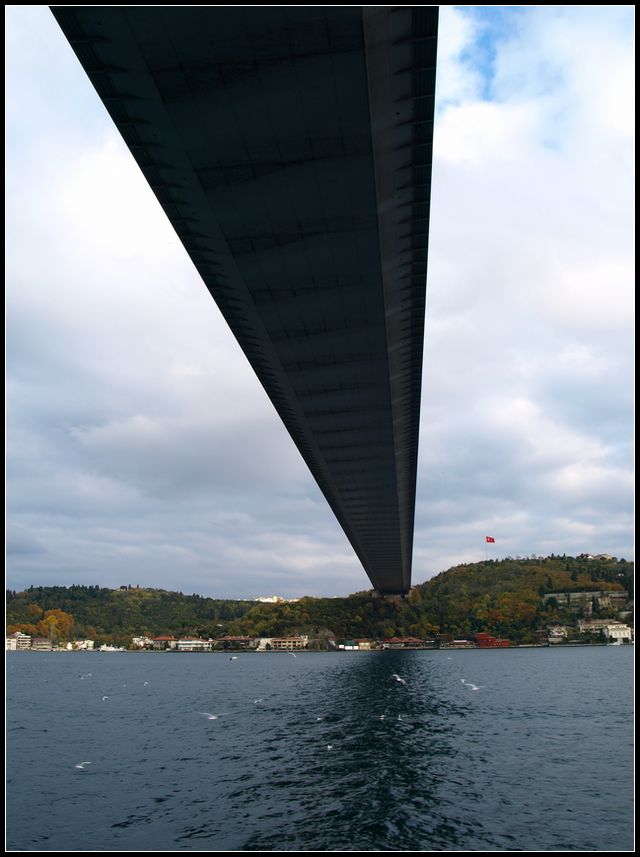 31ec03614df7d9d896d3229f5f6d2478.jpg
