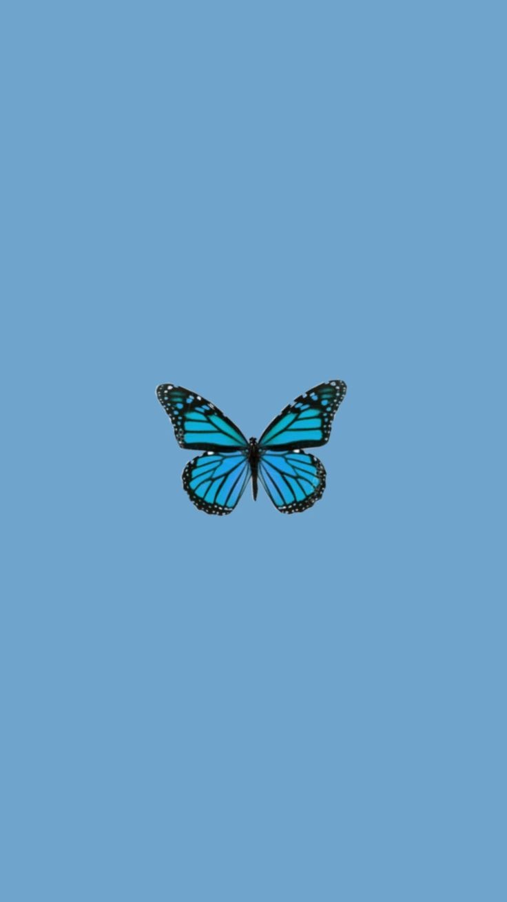 ktownabi