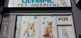 올림픽동물병원 | 업소록 | 케이타운 일번가
